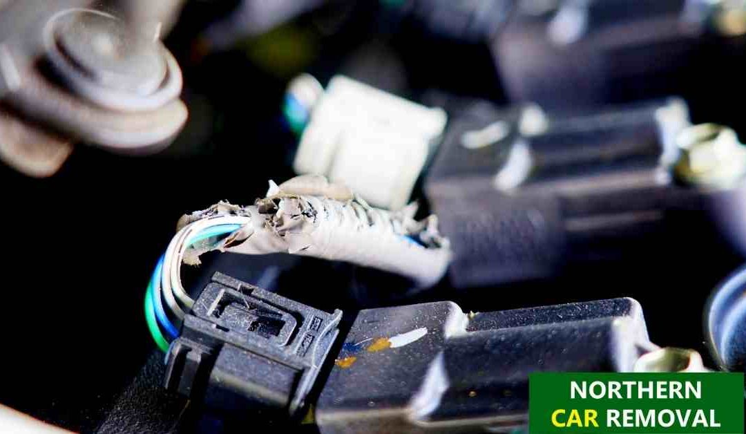 How to Get Rid Of a Rodent Infestation in Your Vehicle
