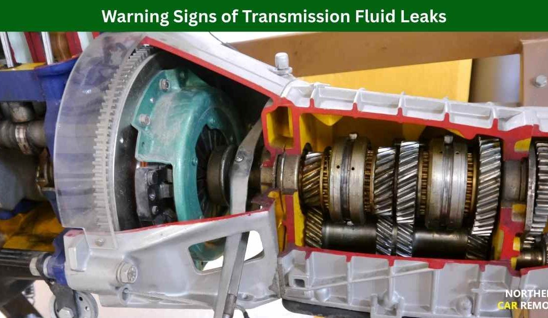 Warning Signs of Transmission Fluid Leaks