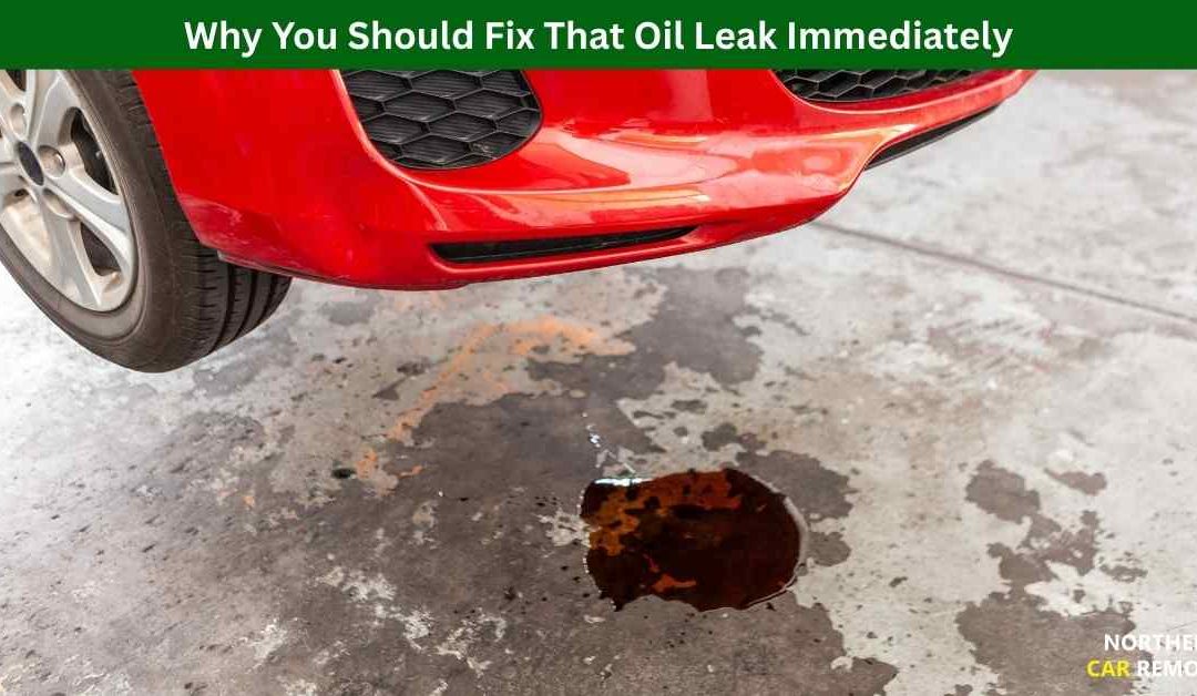 Why You Should Fix That Oil Leak Immediately
