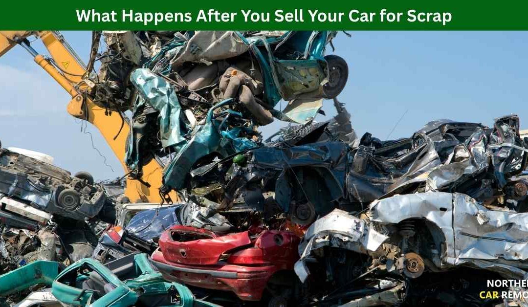 What Happens After You Sell Your Car for Scrap